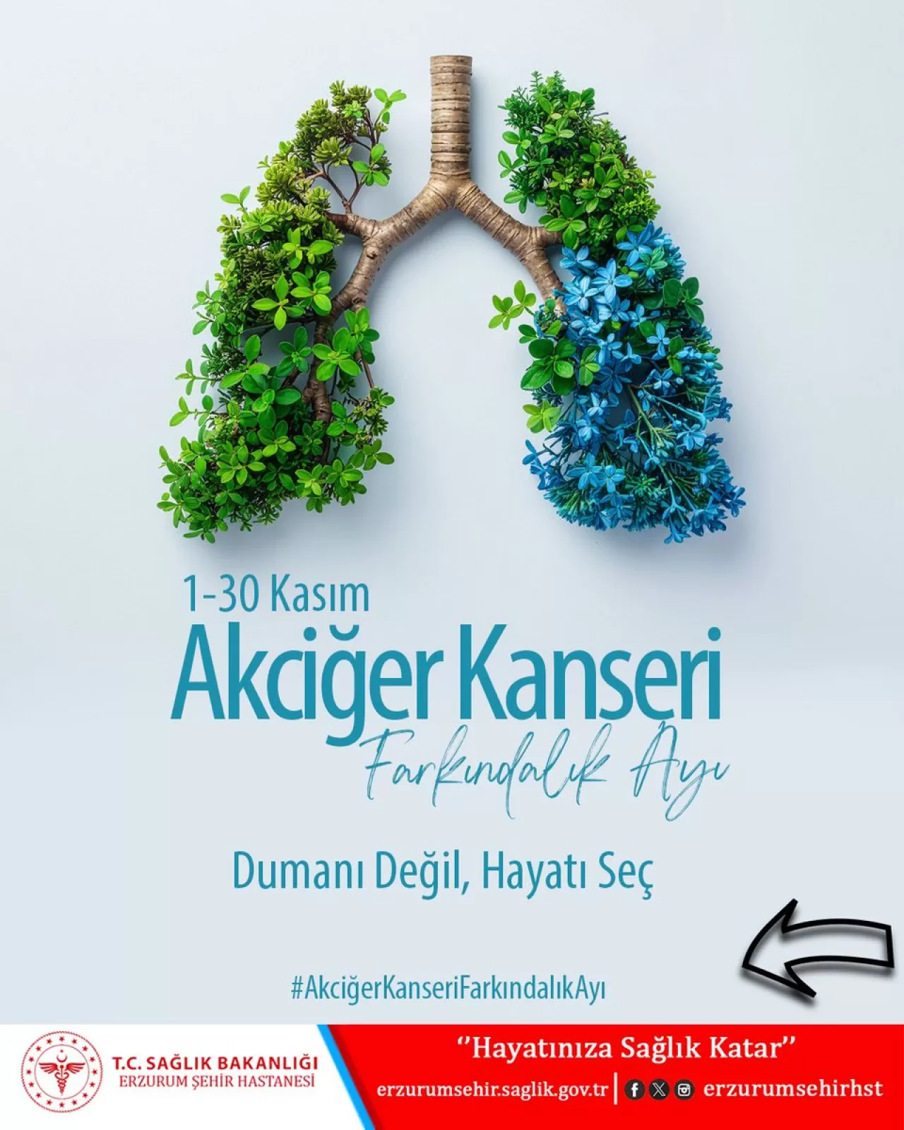 Erzurum Şehir Hastanesi'nde Akciğer Kanseri Farkındalık Ayı Etkinlikleri Başladı