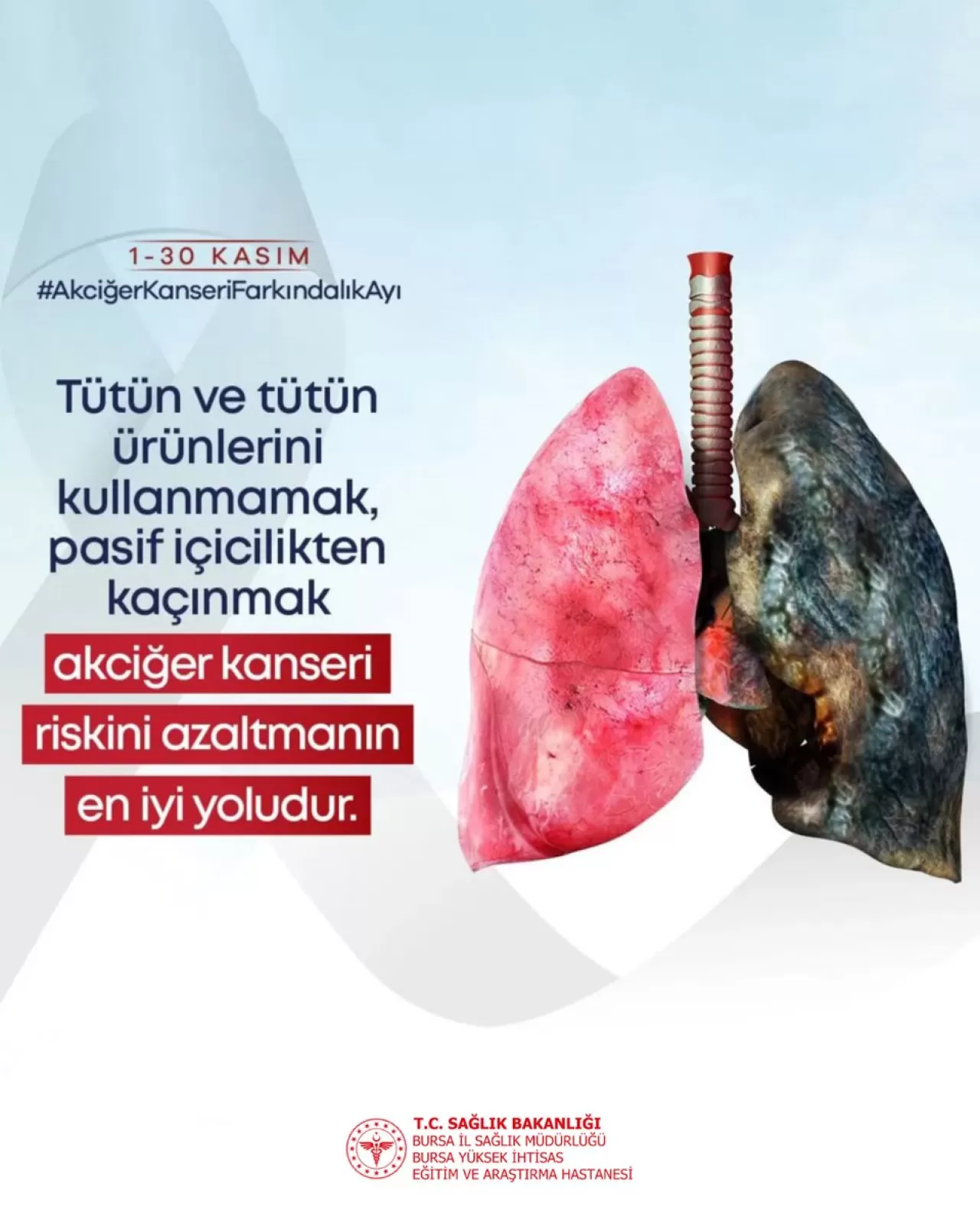 Bursa'da Akciğer Kanseri Farkındalık Ayı'nda Risk Azaltmanın Yolları Vurgulandı