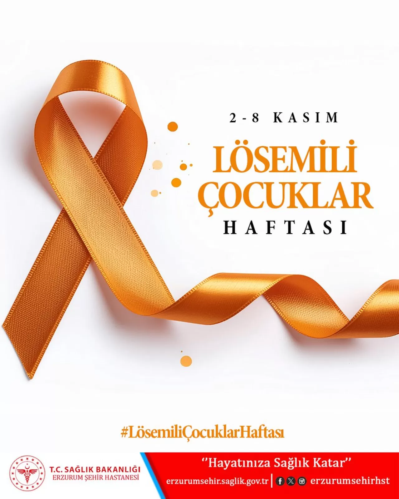 Erzurum'da Lösemili Çocuklar Haftası'nda Anlamlı Etkinlik