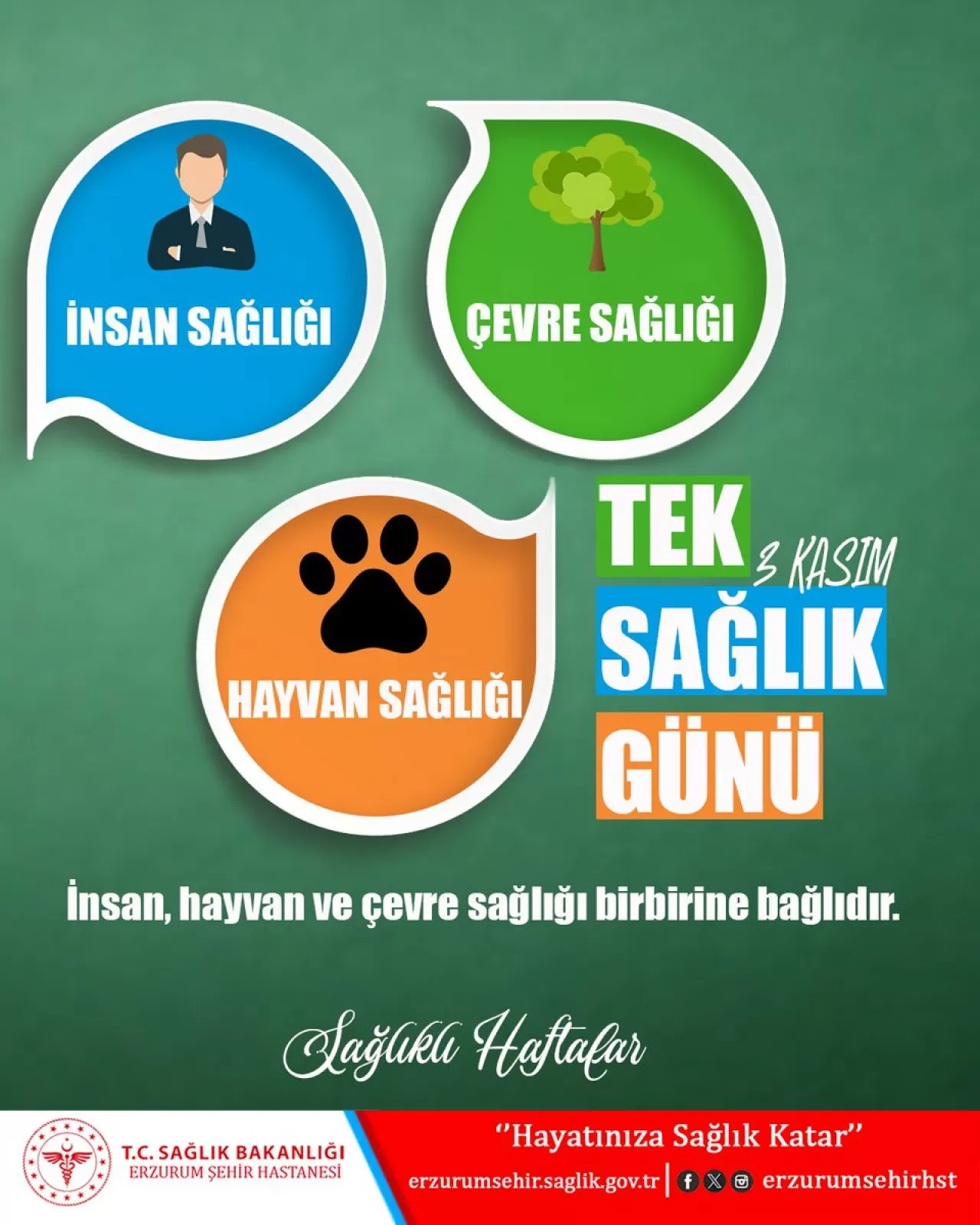 Erzurum Şehir Hastanesi'nde 3 Ekim Tek Sağlık Günü Kutlandı