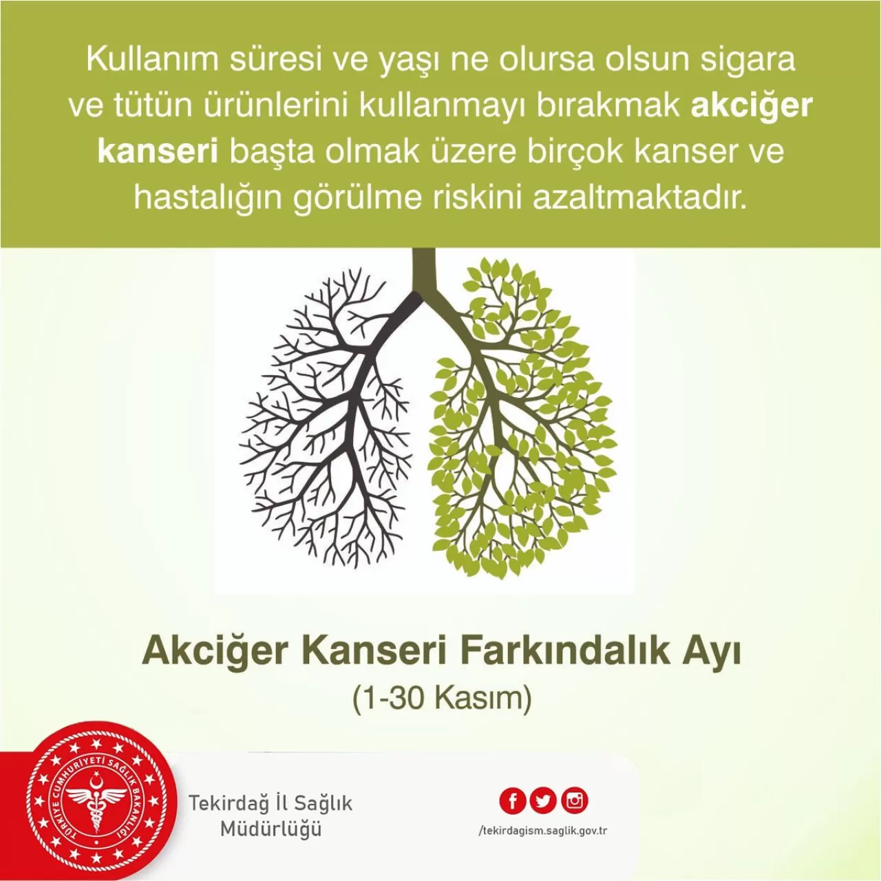 Tekirdağ'da Akciğer Kanseri Farkındalık Ayı Etkinlikleri Başladı