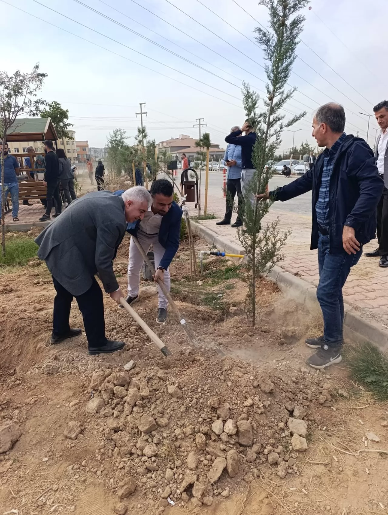 Kızıltepe Devlet Hastanesi Başhekimi'nden 11 Kasım'da Anlamlı Fidan Dikimi