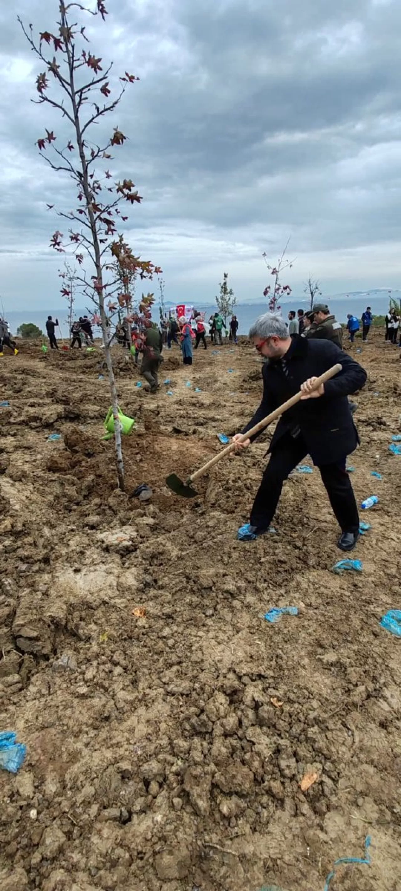 Yalova İl Sağlık Müdürü Dr. Kaşıkcı, Milli Ağaçlandırma Günü'nde Fidan Dikti