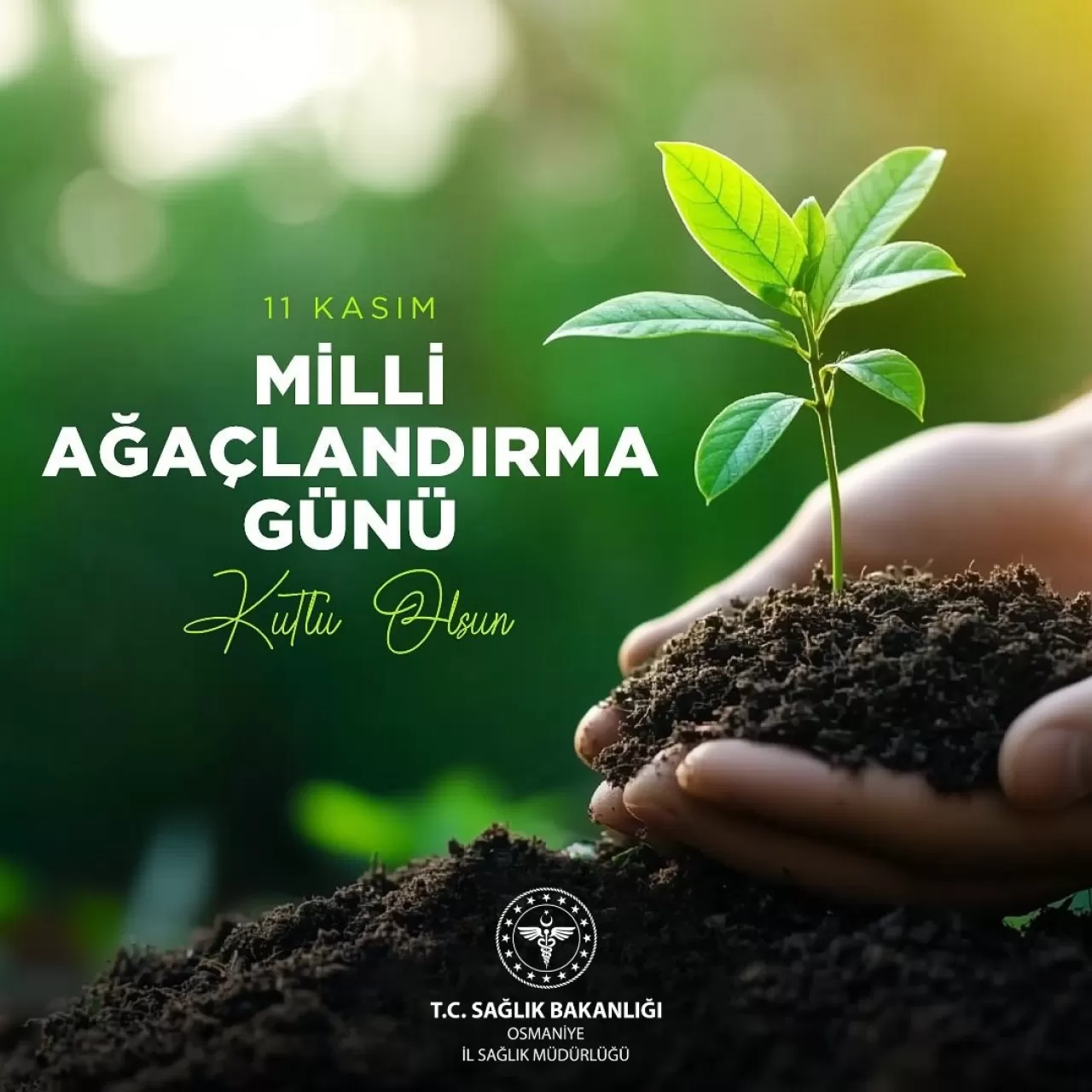 Osmaniye İl Sağlık Müdürlüğü, 11 Kasım'da Fidan Dikti