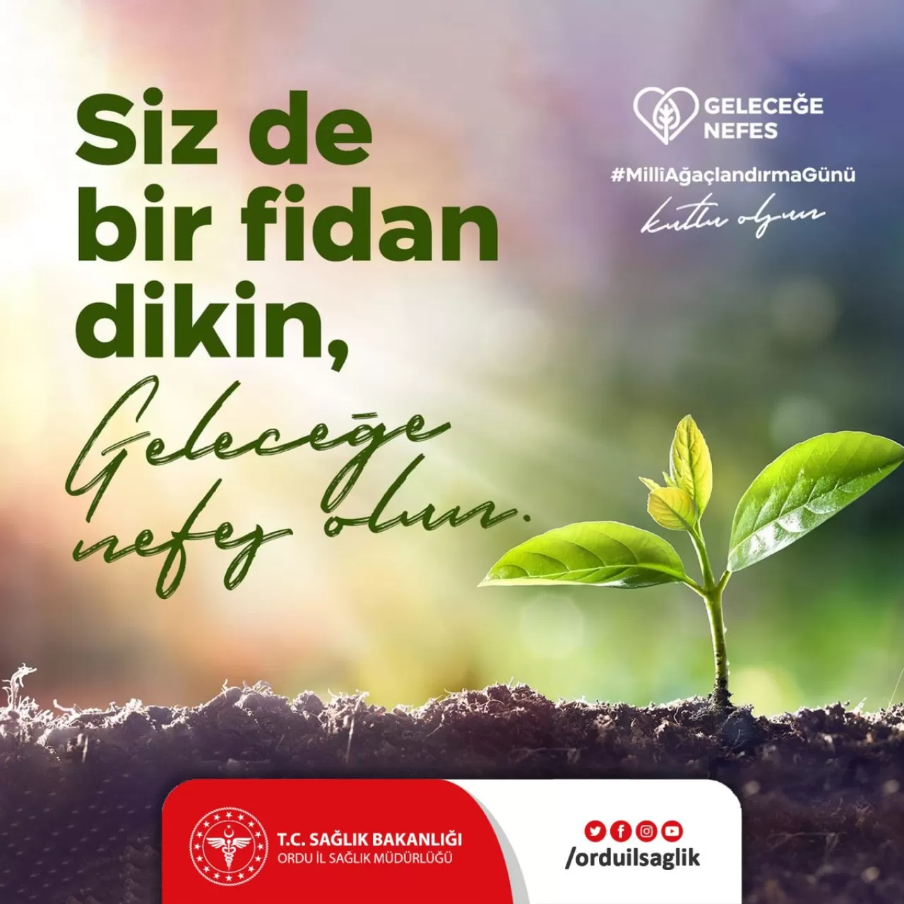 11 Kasım Milli Ağaçlandırma Günü'nde Geleceğe Nefes Olun Çağrısı