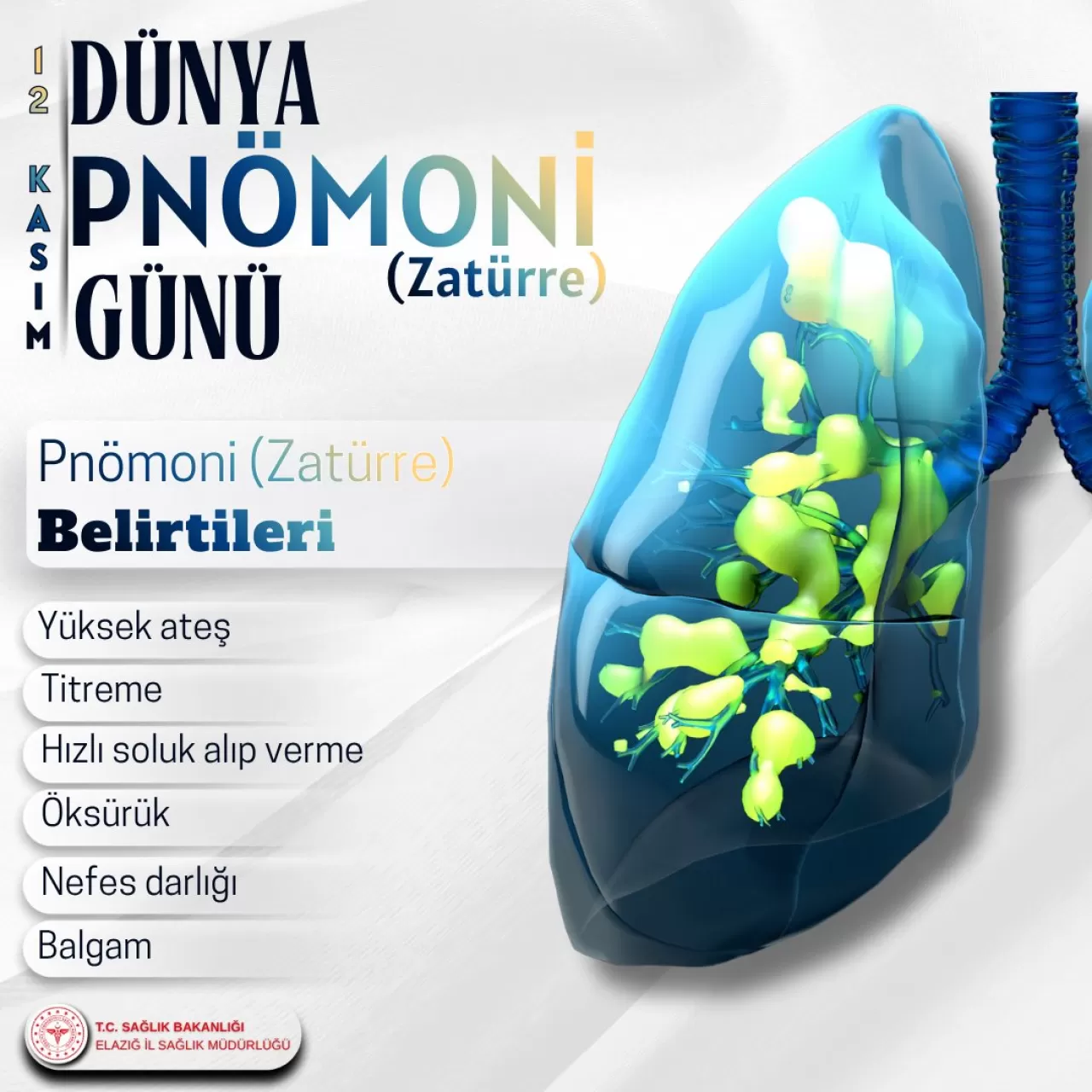 Elazığ İl Sağlık Müdürlüğü'nden Zatürre Uyarısı: Pnömoni Hakkında Bilinmesi Gerekenler
