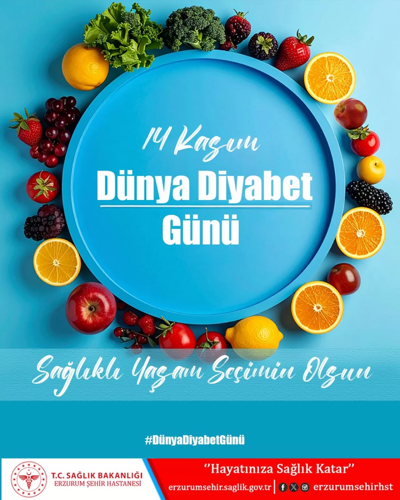 Erzurum Şehir Hastanesi'nde 14 Kasım Dünya Diyabet Günü Etkinlikleri Düzenlendi