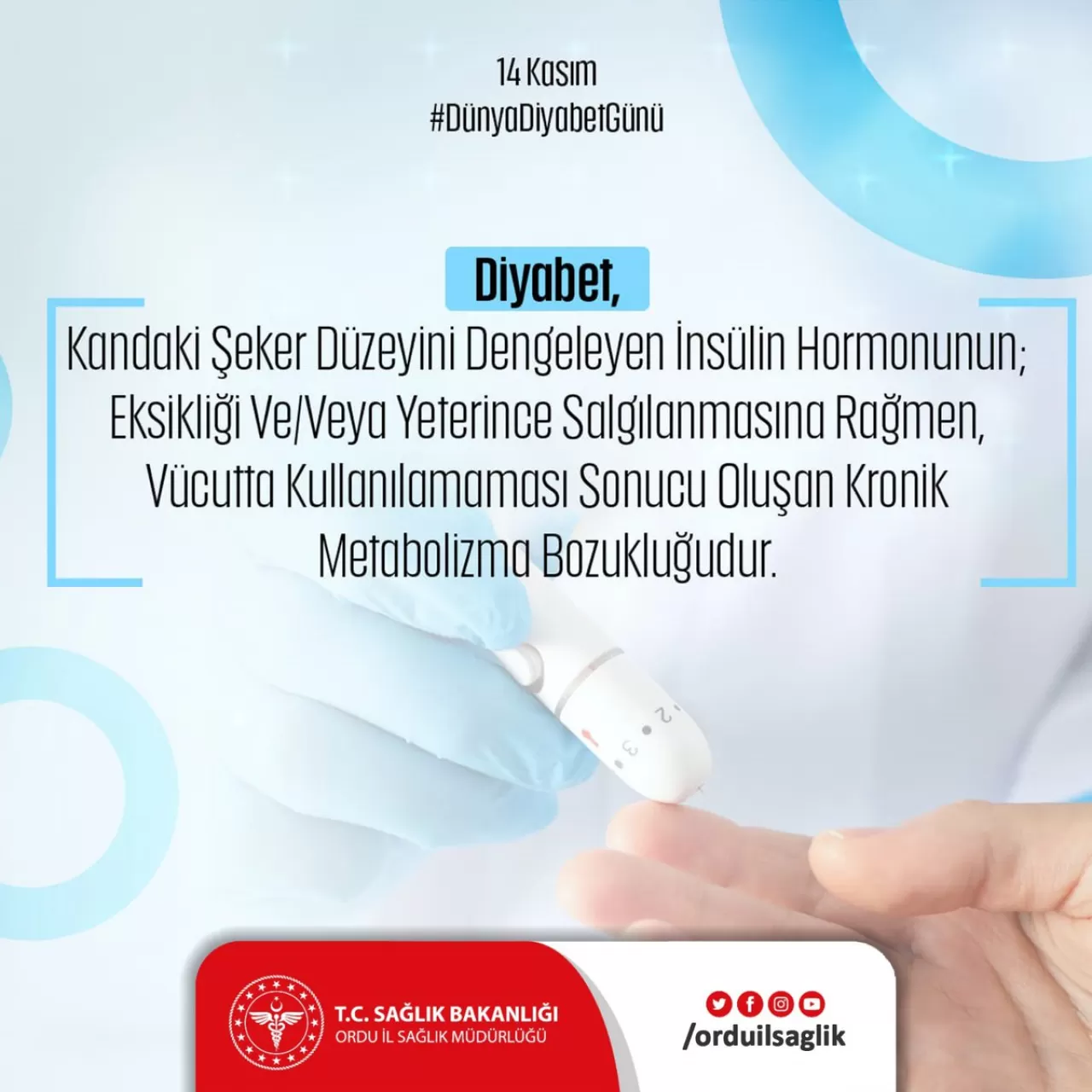 Ordu İl Sağlık Müdürlüğü Dünya Diyabet Günü'nde Hastalığa Dikkat Çekti