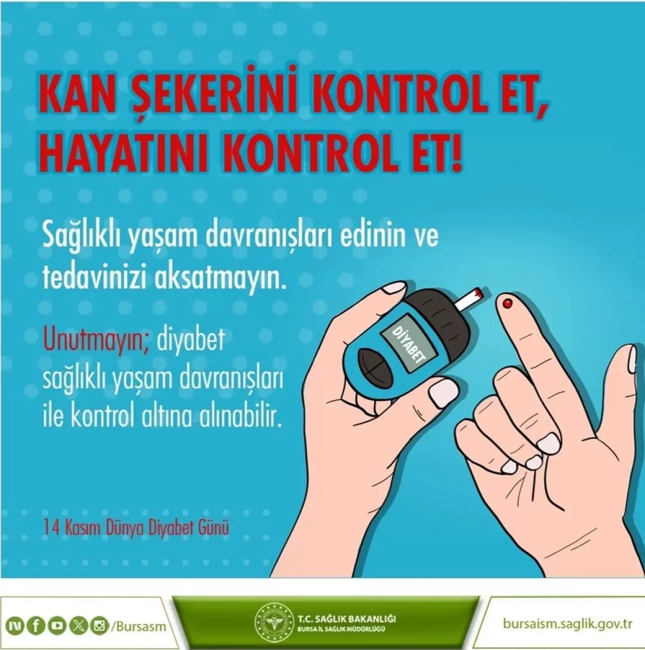 Bursa Orhaneli'de Dünya Diyabet Günü'nde Sağlıklı Yaşam Vurgusu