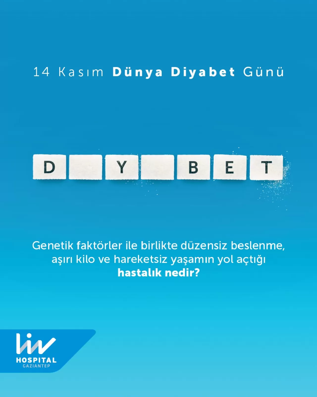 Liv Hospital Gaziantep'ten 14 Kasım Dünya Diyabet Günü'nde Anlamlı Etkinlik
