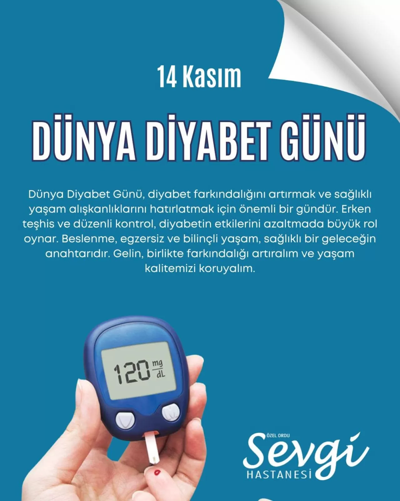 Ordu'da 14 Kasım Dünya Diyabet Günü'nde Erken Teşhis ve Sağlıklı Yaşam Vurgusu