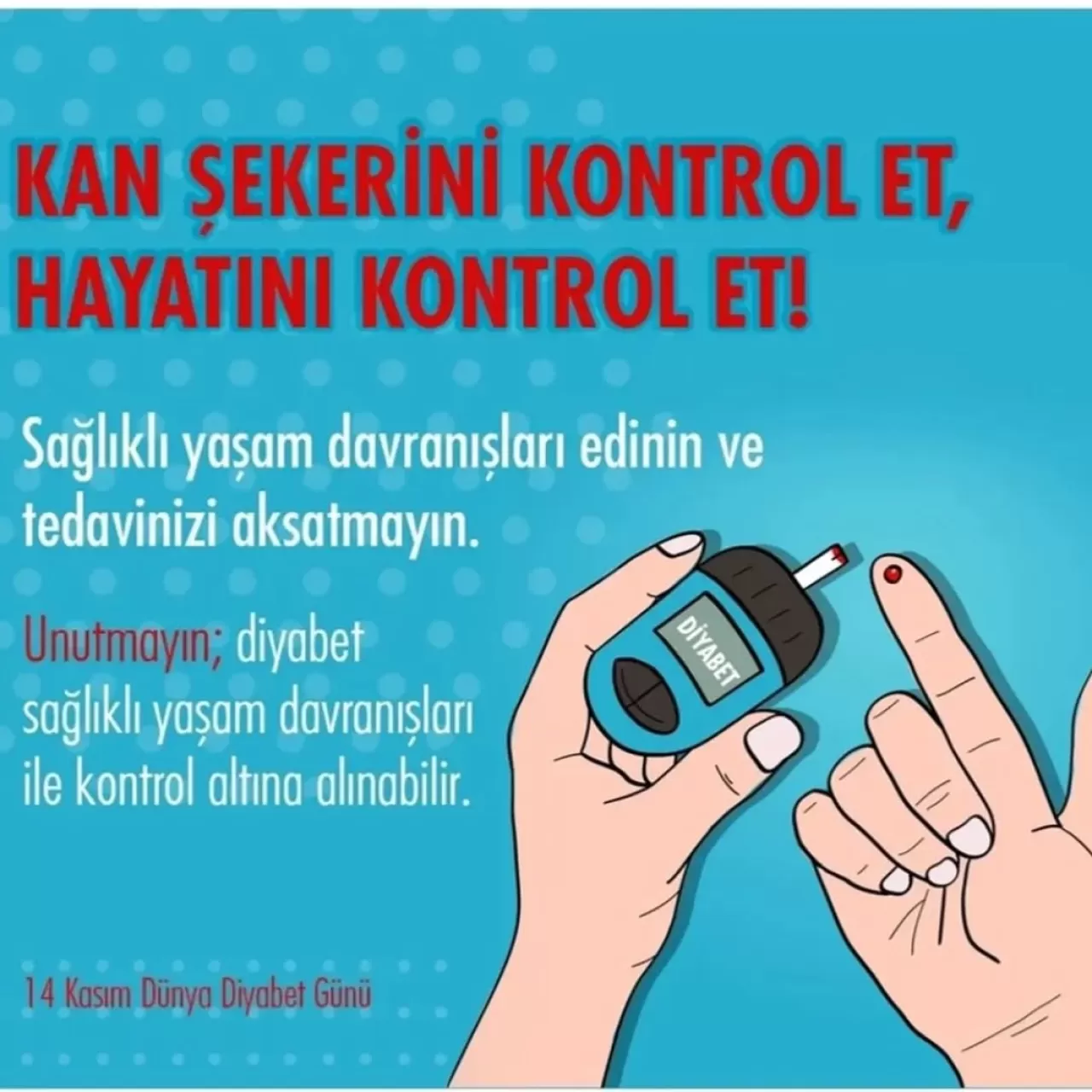 Gemlik'te Dünya Diyabet Günü'nde Farkındalık Çalışmaları