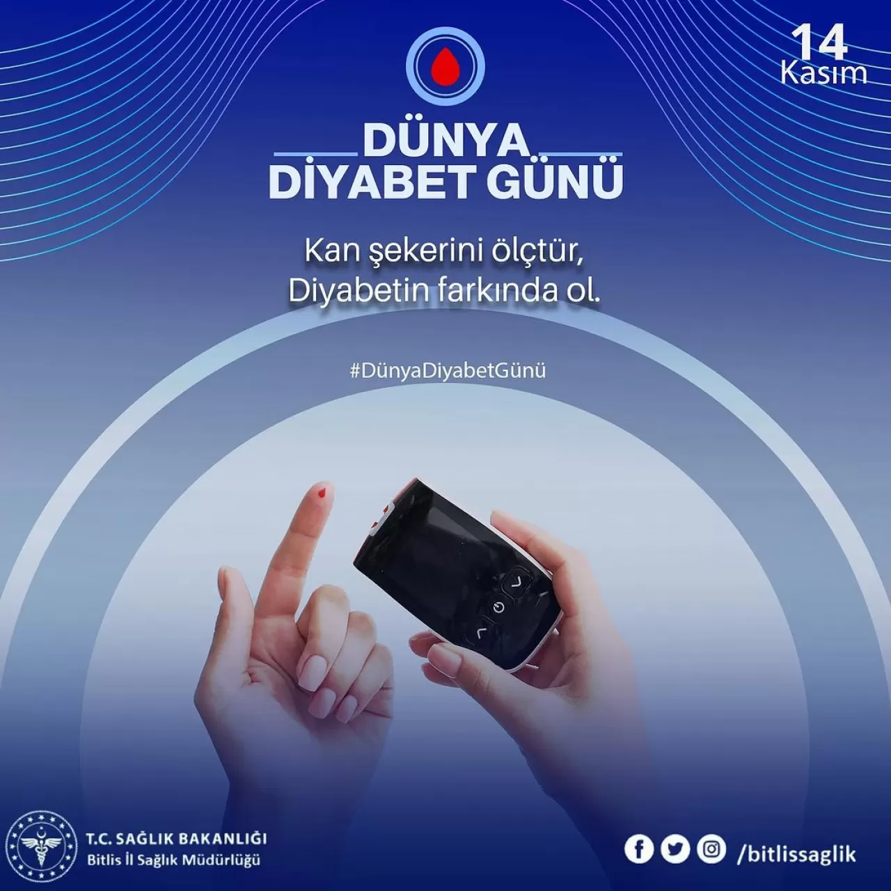 Bitlis'te Dünya Diyabet Günü'nde Sağlıklı Yaşam Vurgusu