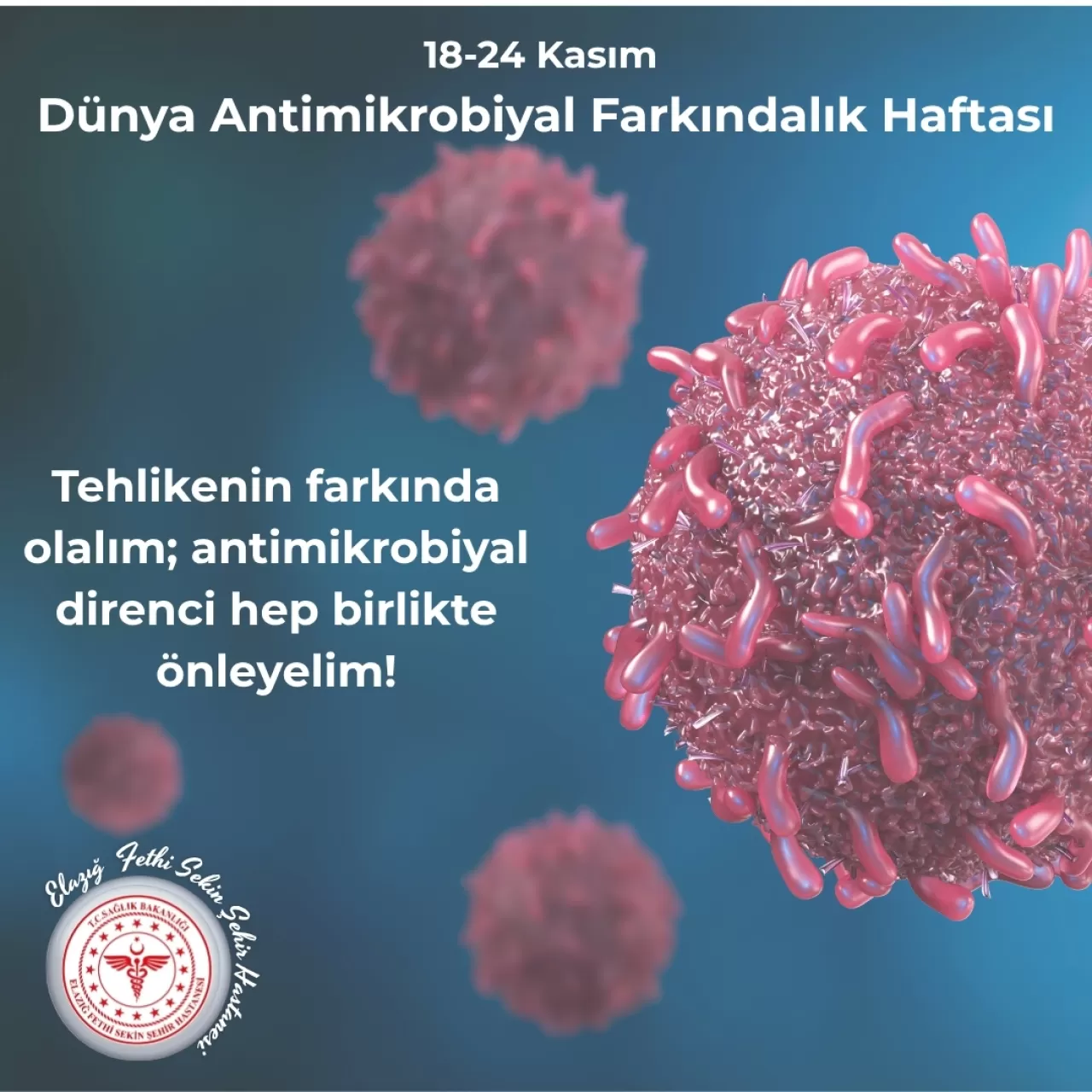 Elazığ Fethi Sekin Şehir Hastanesi'nde Antibiyotik Farkındalığı İçin Önemli Hafta