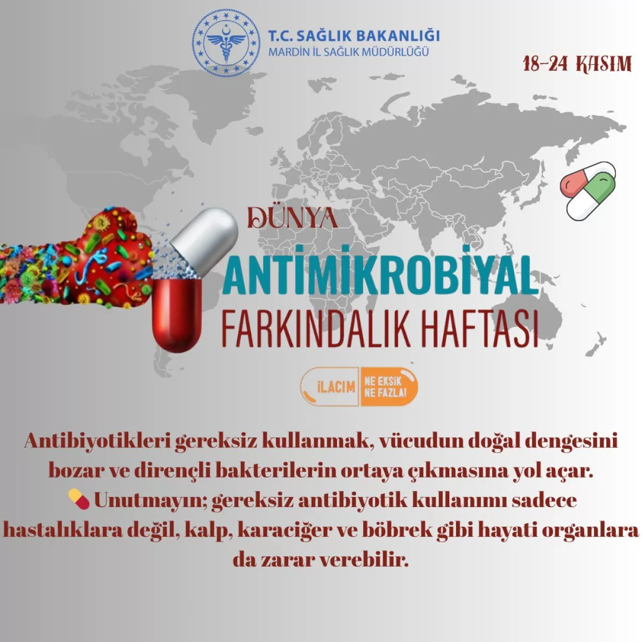 Mardin'de Dünya Antimikrobiyal Farkındalık Haftası Etkinliklerle Kutlanıyor