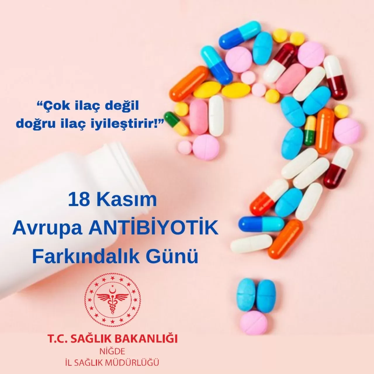 Niğde'de Antibiyotik Farkındalığı Vurgulandı