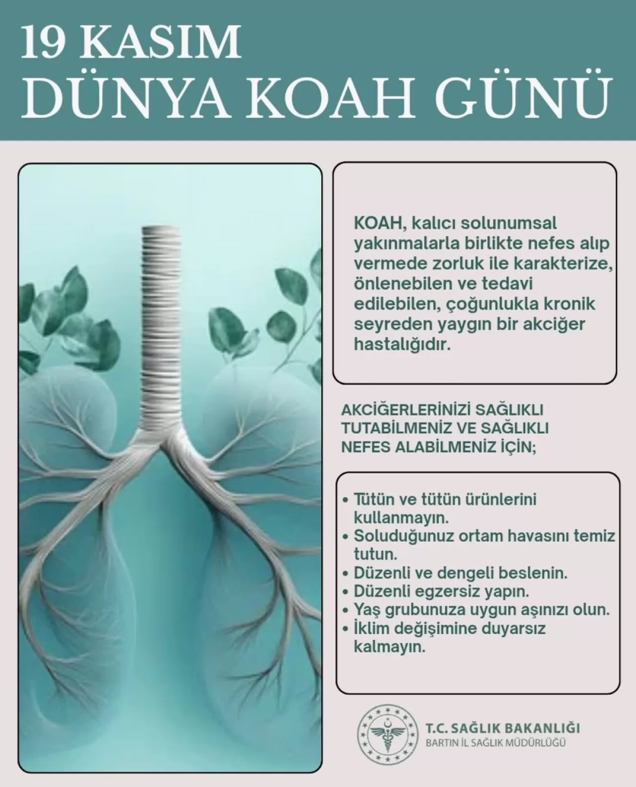 KOAH Farkındalığı: Belirtiler, Nedenler ve Önlemler