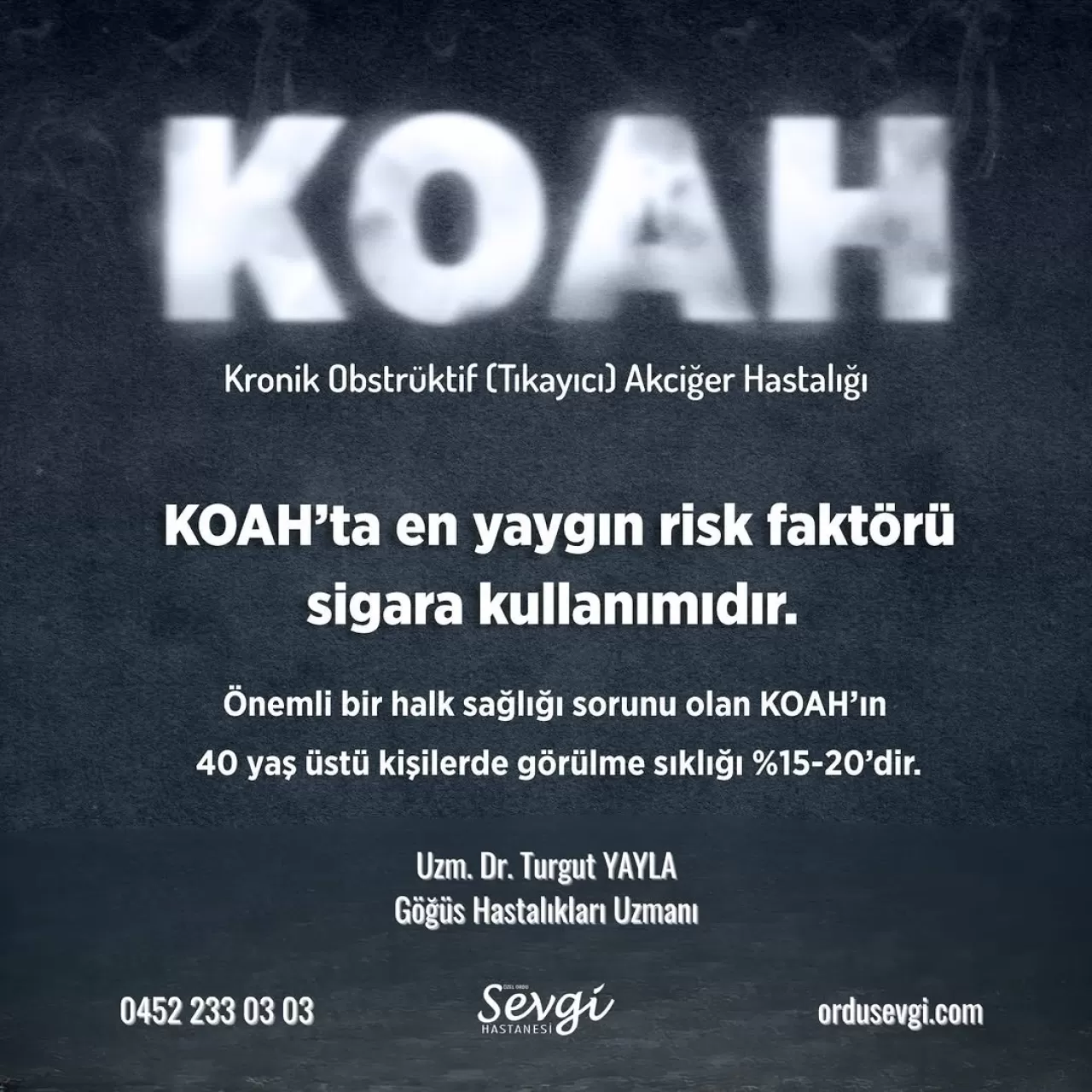 Ordu'da Dünya KOAH Günü'nde Hastalığın Belirtilerine Dikkat Çekildi