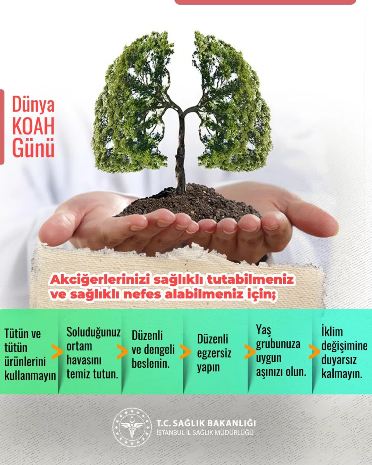 KOAH Hastalığı ve Akciğer Sağlığını Korumak İçin 6 Kritik Öneri