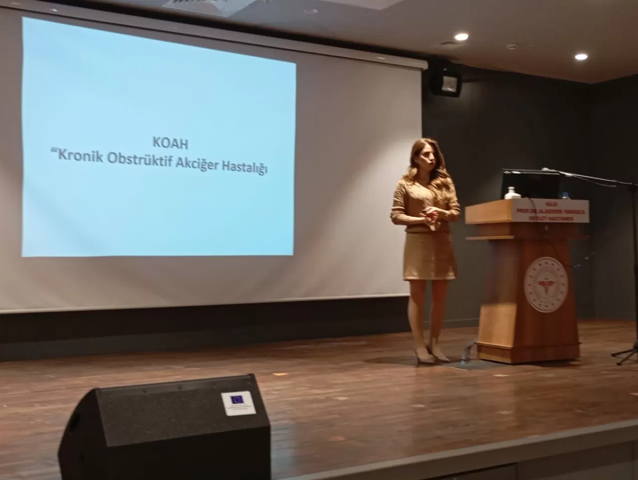 Kilis'te Sağlık Profesyonellerine KOAH Eğitimi Verildi