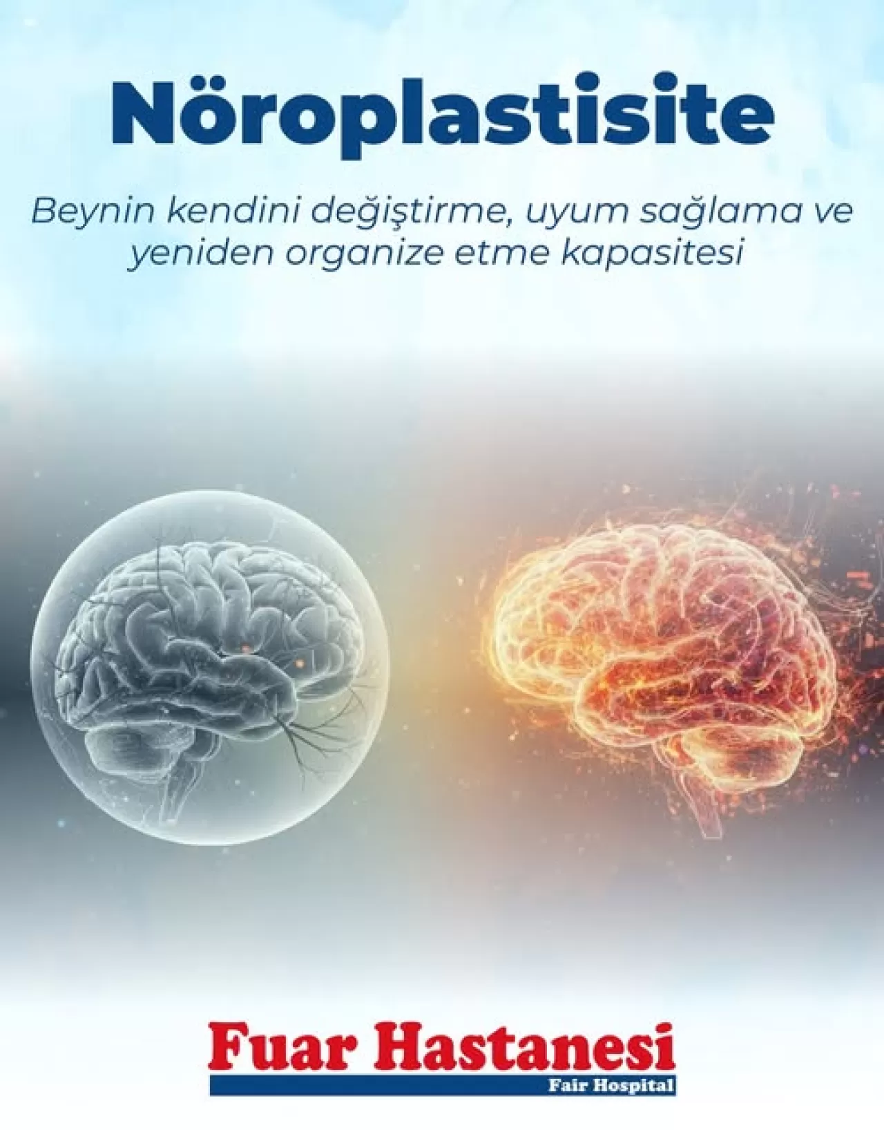 Beynin İyileşme Gücü: Nöroplastisite ve Psikoterapi ile Duygusal Düzenleme