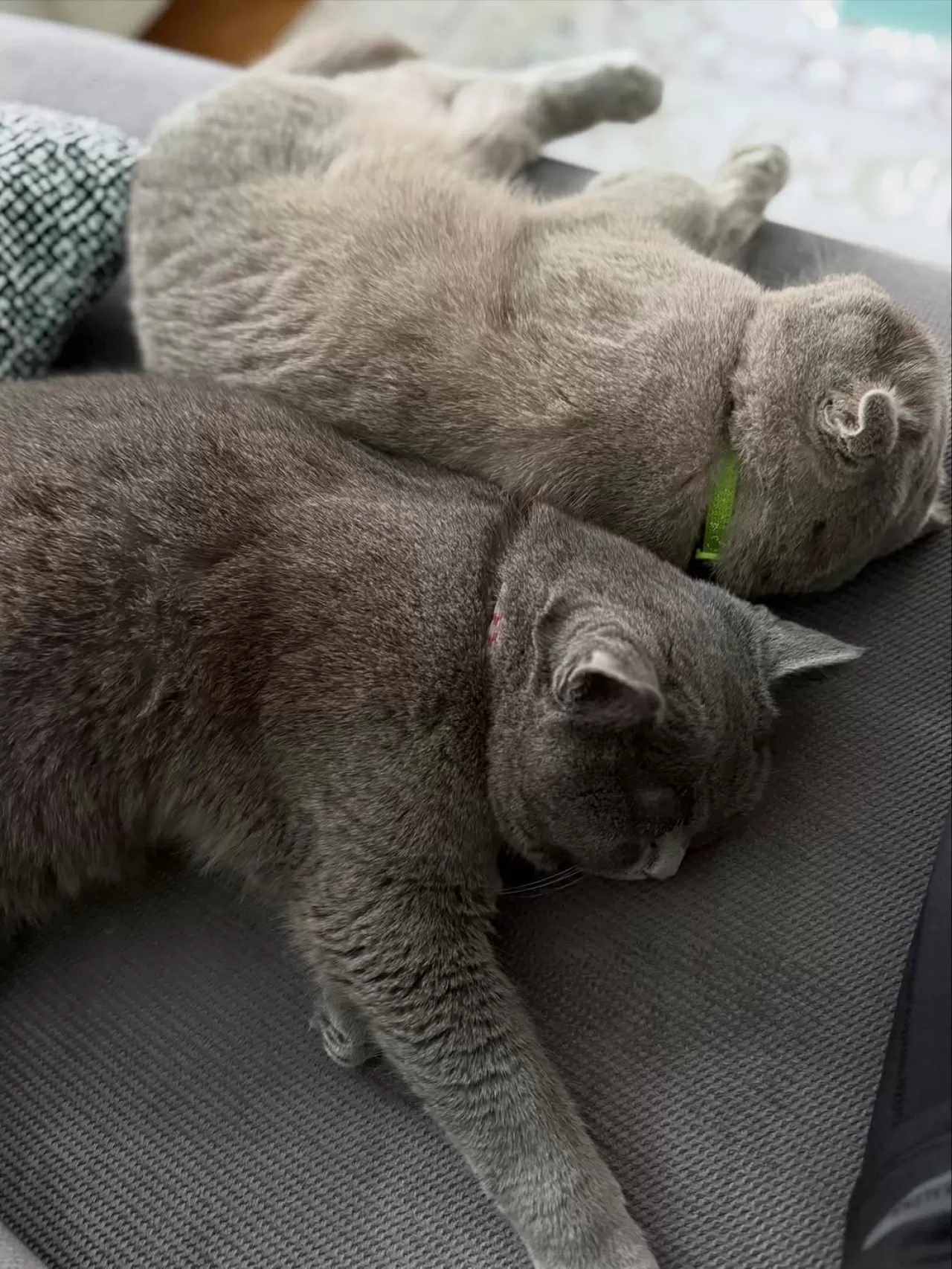 Bağdat Caddesi'nde Dermatoloji Uzmanı Dr. Gözde Emel Gökçek'in Çalışmaları