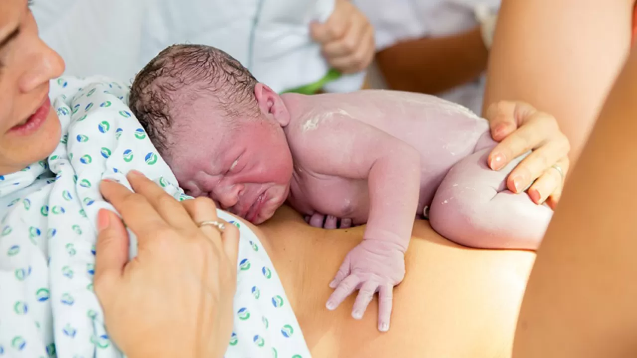 Ten Tene Temas: Bebek Beyin Gelişiminde Yüksek Getirili Yatırım