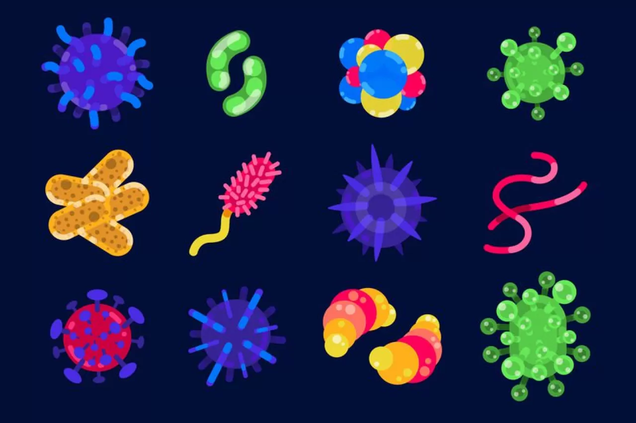 Araştırma Önerisi: Sağlıklı Yaşam Trendlerinin Bilimsel Temelleri