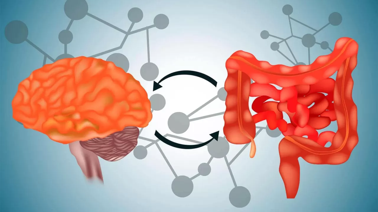 Araştırma Önerisi: Sağlıklı Yaşam Trendlerinin Bilimsel Temelleri
