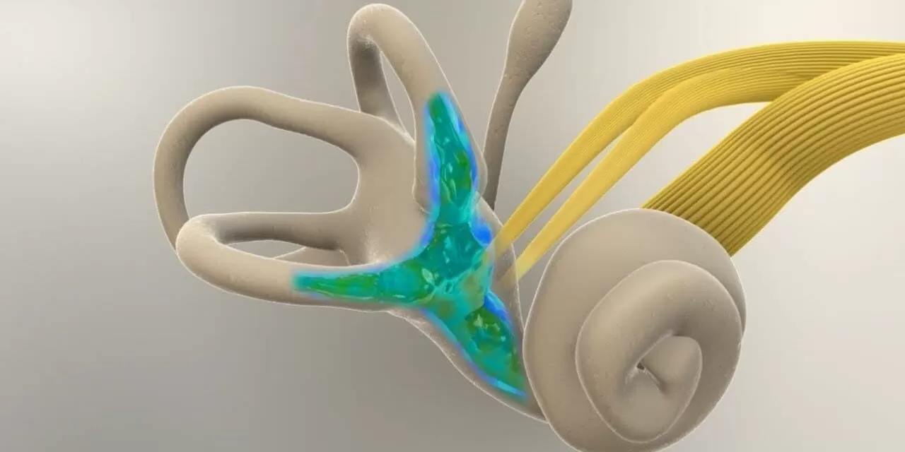 Gizli Tehlike: Sessiz Denge Bozuklukları ve İç Kulak Basıncındaki Dalgalanmalar