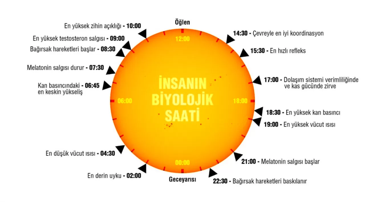 Güneşe 15 Dakika Bakmanın Uyku Kalitesine Etkisi Bilimsel Olarak Kanıtlandı