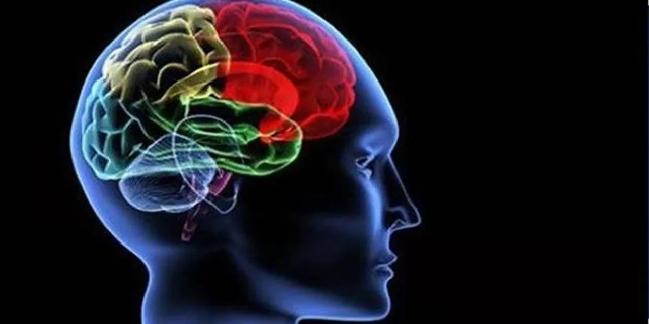 Günde Sadece 10 Dakika El Yazısı ile Beyninizi Güçlendirin