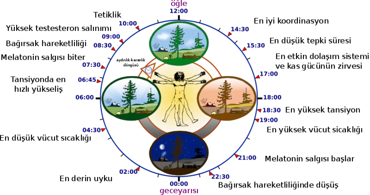 Anne ile Bebek Arasındaki Görünmez Bağ: Uyku Öncesi Ritüellerin Nörobilimsel Sırları