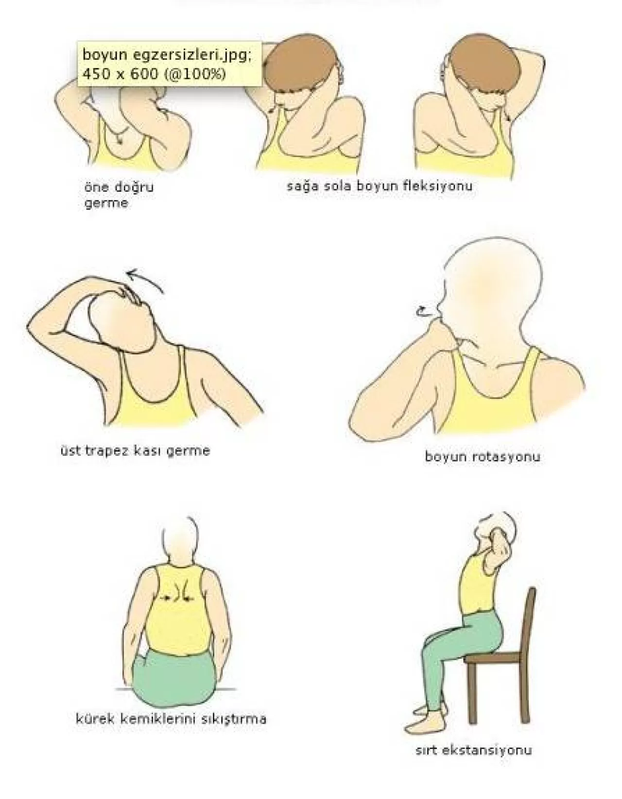 Günde 10 Dakika Boyun Egzersizi ile Beyin Sağlığınızı ve Duruşunuzu İyileştirin