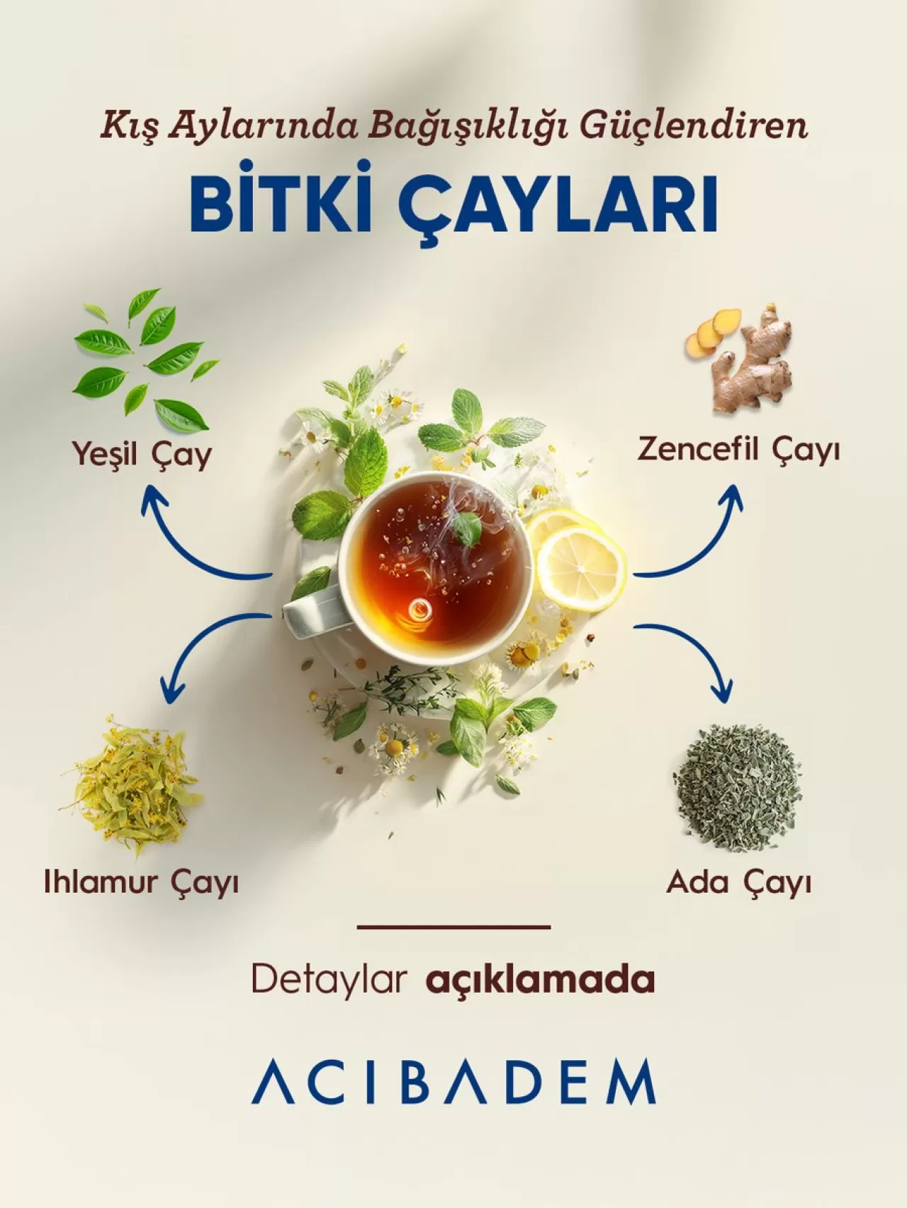 Kışın Bağışıklığı Güçlendiren 5 Bitki Çayı