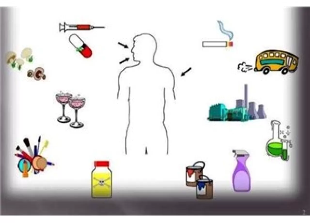 Dijital Platform ile İlaçların Vücuttaki Yolculuğu Hastalara Anlatılacak