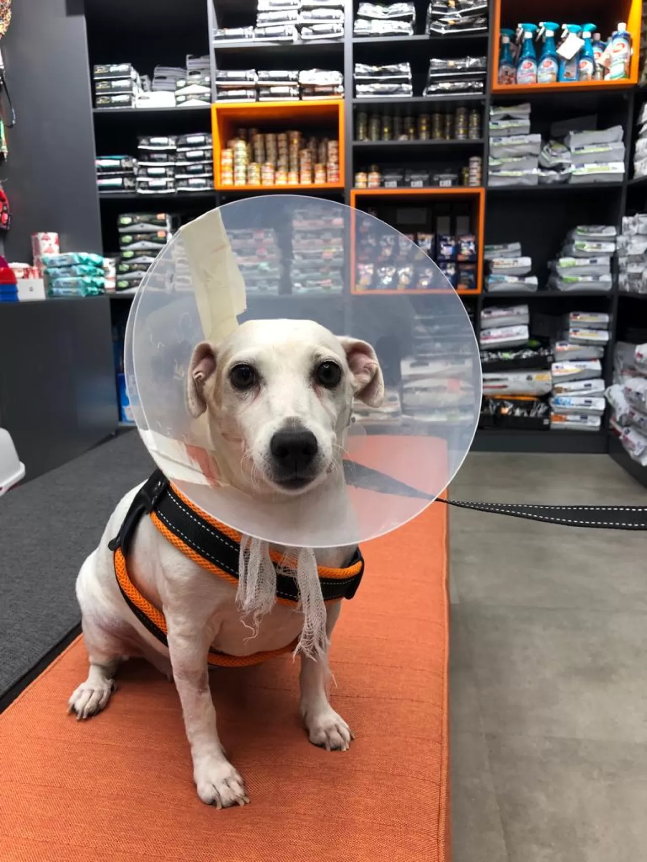 Akıllı İlaç Paketleri ile Tedavi Takibi Dijitalleşiyor