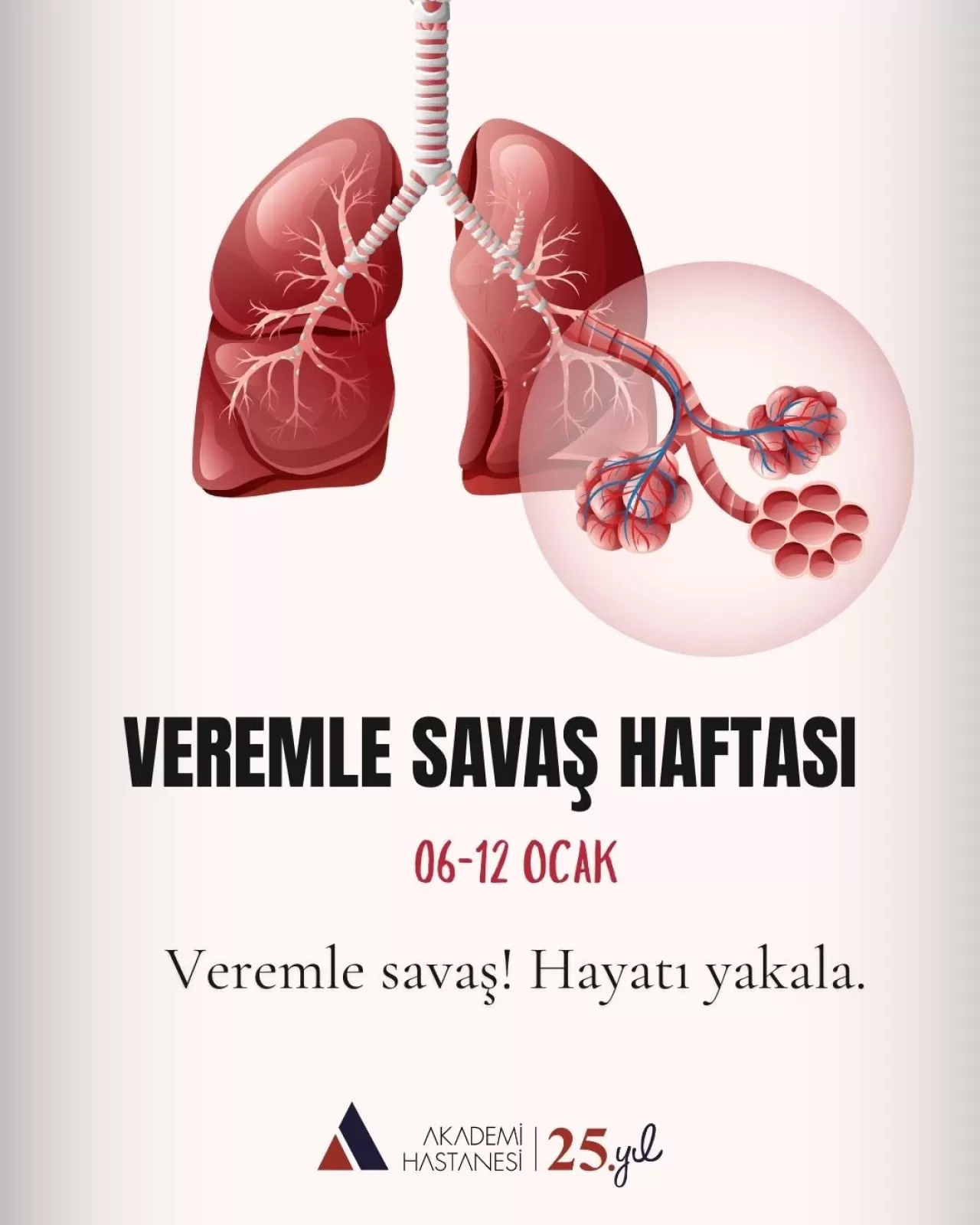 Kocaeli'de Veremle Savaş Haftası'nda Erken Tanının Önemi Vurgulandı