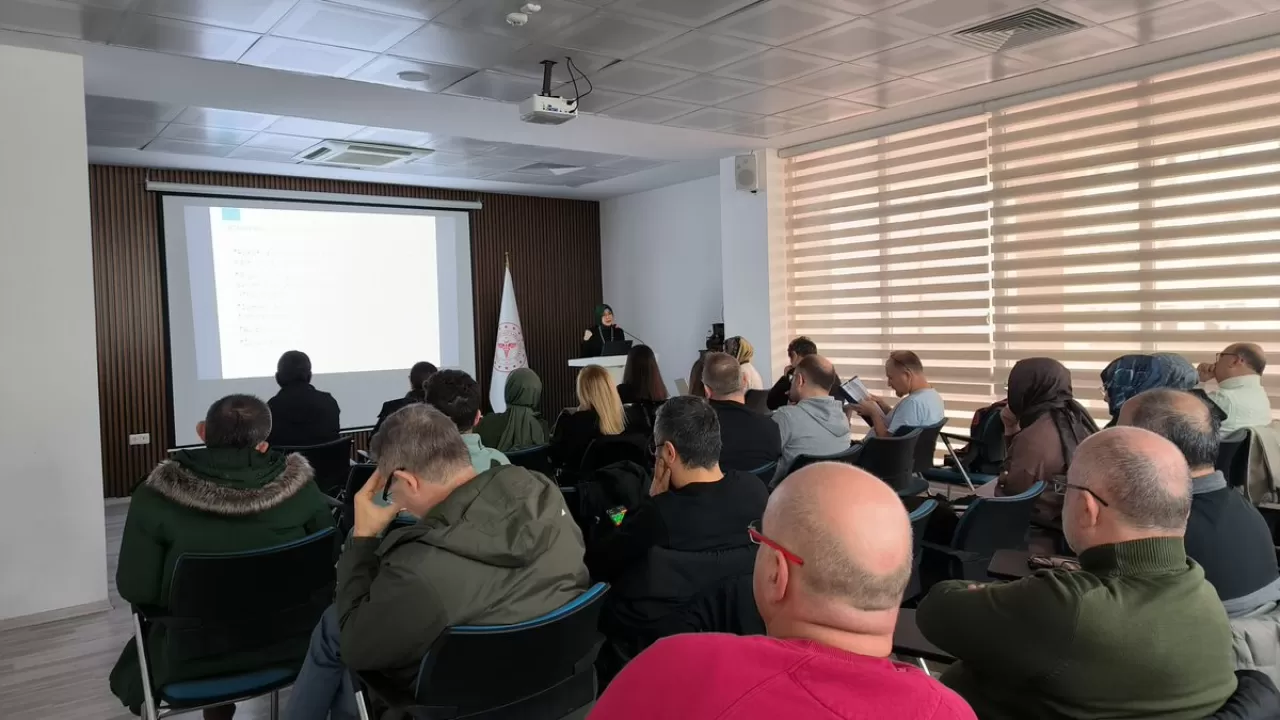 Giresun'da Aile Hekimlerine Tütün Bağımlılığı Tedavisi Eğitimi Verildi