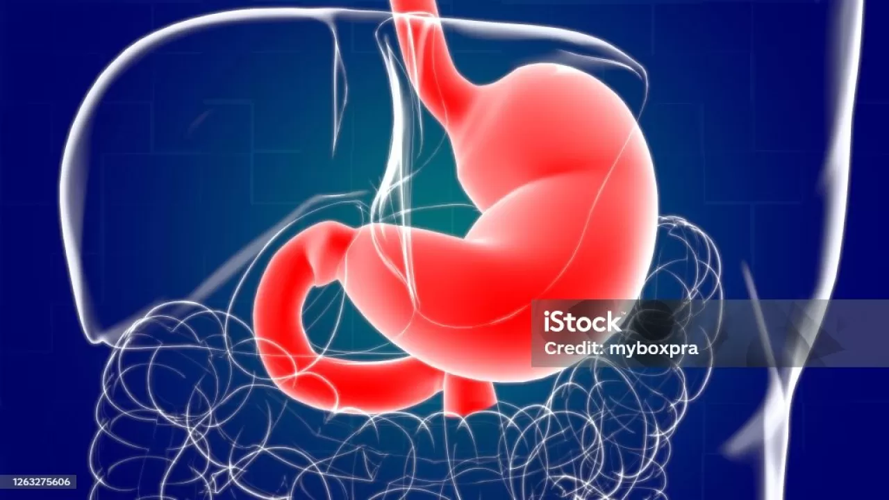 Dijital Sağlıkta Anlama Kolaylığı: 3D ve Yapay Zeka Destekli Kaynaklar Yaygınlaşıyor