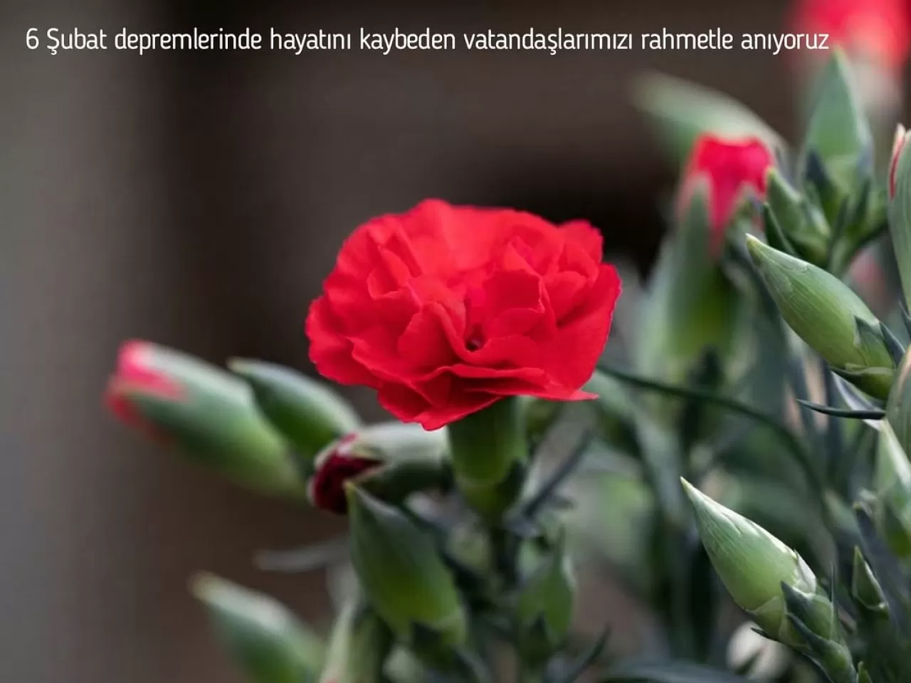 6 Şubat 2023 Depreminde Hayatını Kaybedenler Anılıyor