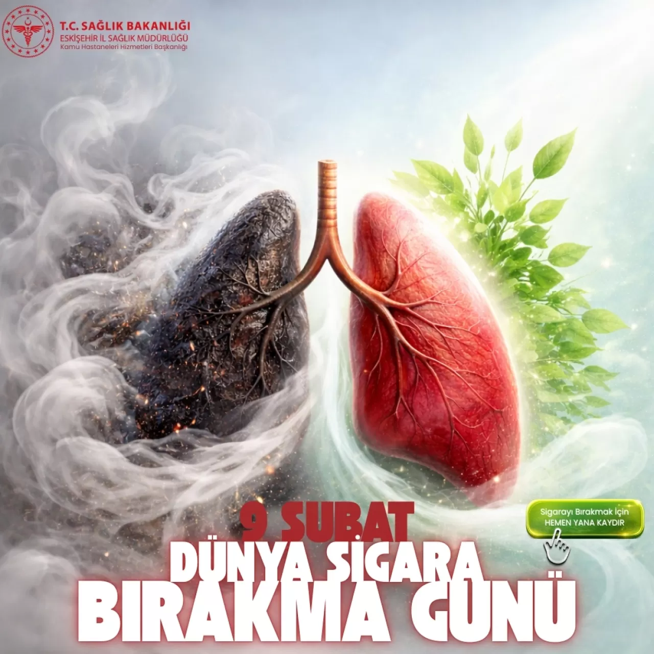 Eskişehir'de Dünya Sigarayı Bırakma Günü'nde Ücretsiz Destek