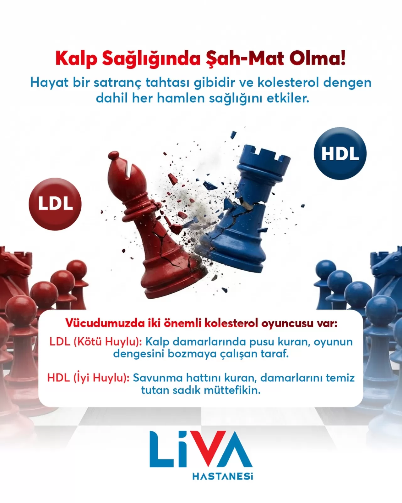 Kolesterol Dengesi ile Kalp Sağlığınızı Korumanın Yolları