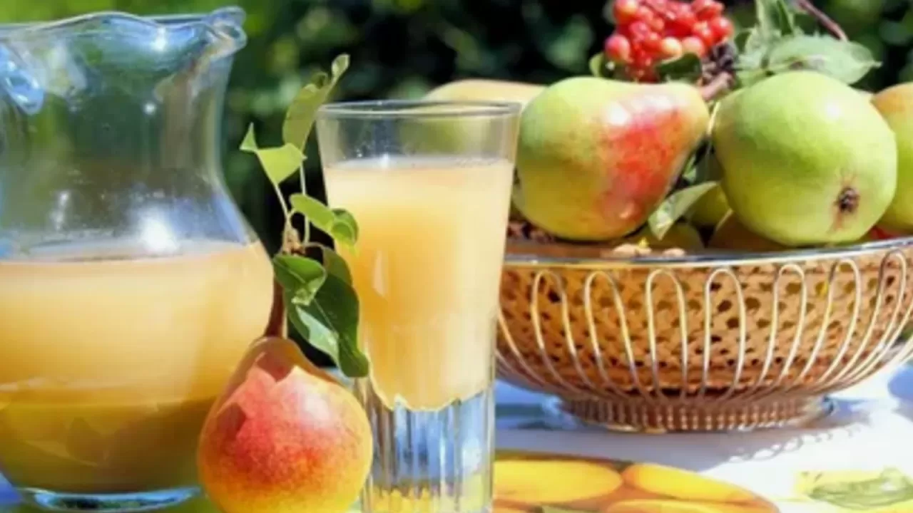 Toprakla Temasın Şaşırtıcı Faydası: Bilim İnsanları Günlük 10 Dakikanın Bağışıklığı Güçlendirdiğini Açıkladı