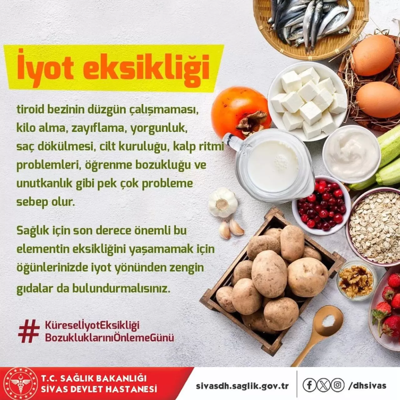 Sivas'ta 21 Ekim Küresel İyot Eksikliği Bozukluklarını Önleme Günü'ne Dikkat Çekildi