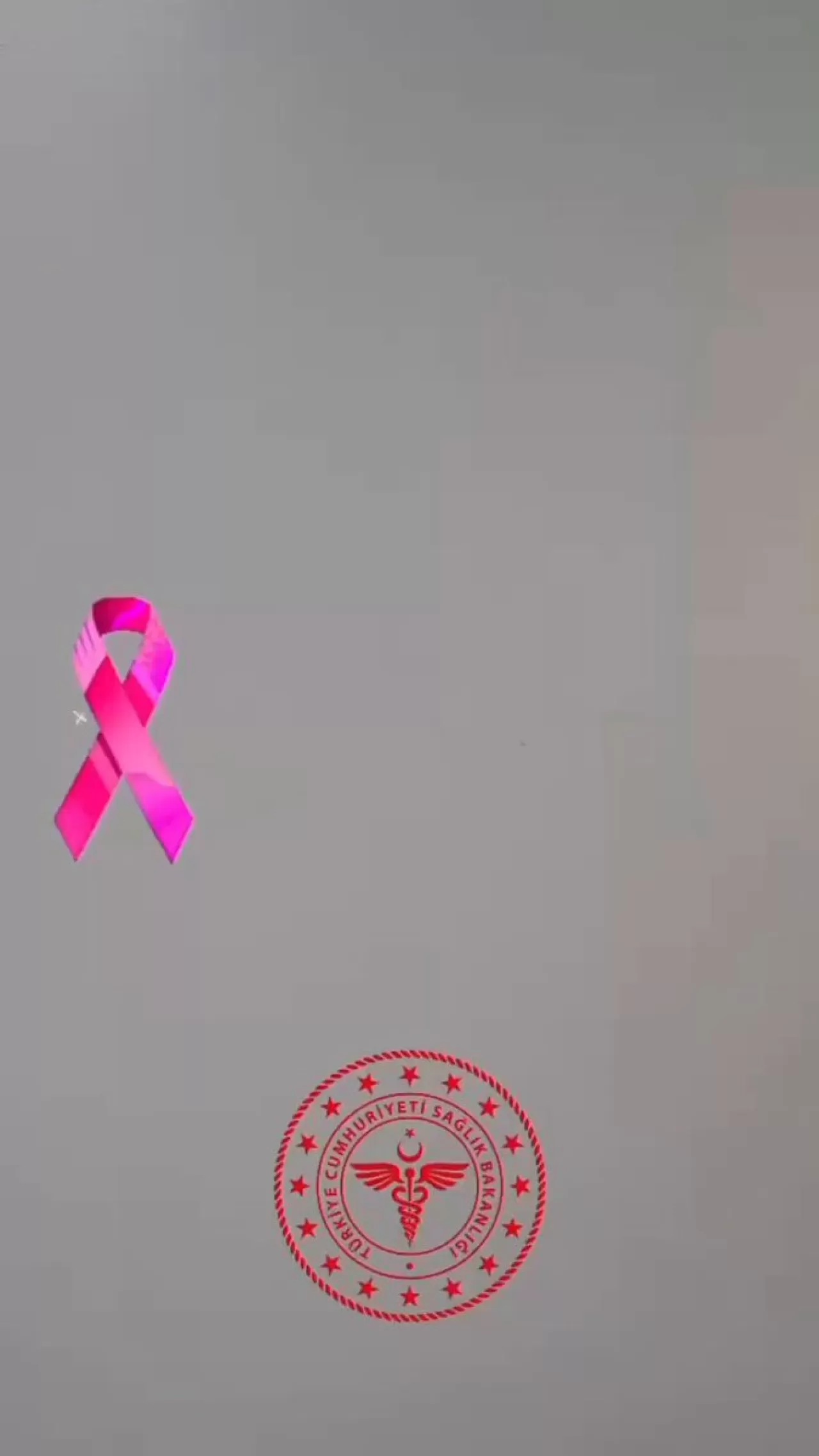 Gelibolu'da Meme Kanseri Farkındalık Etkinliği Düzenlendi