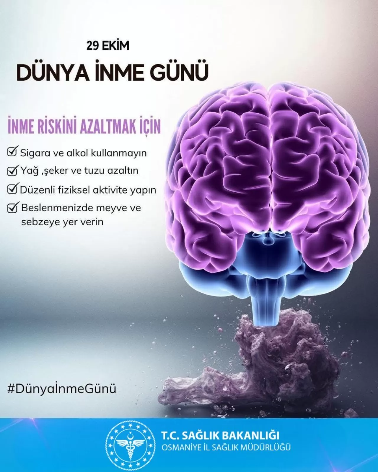 Osmaniye'de 29 Ekim Dünya İnme Günü'nde 
