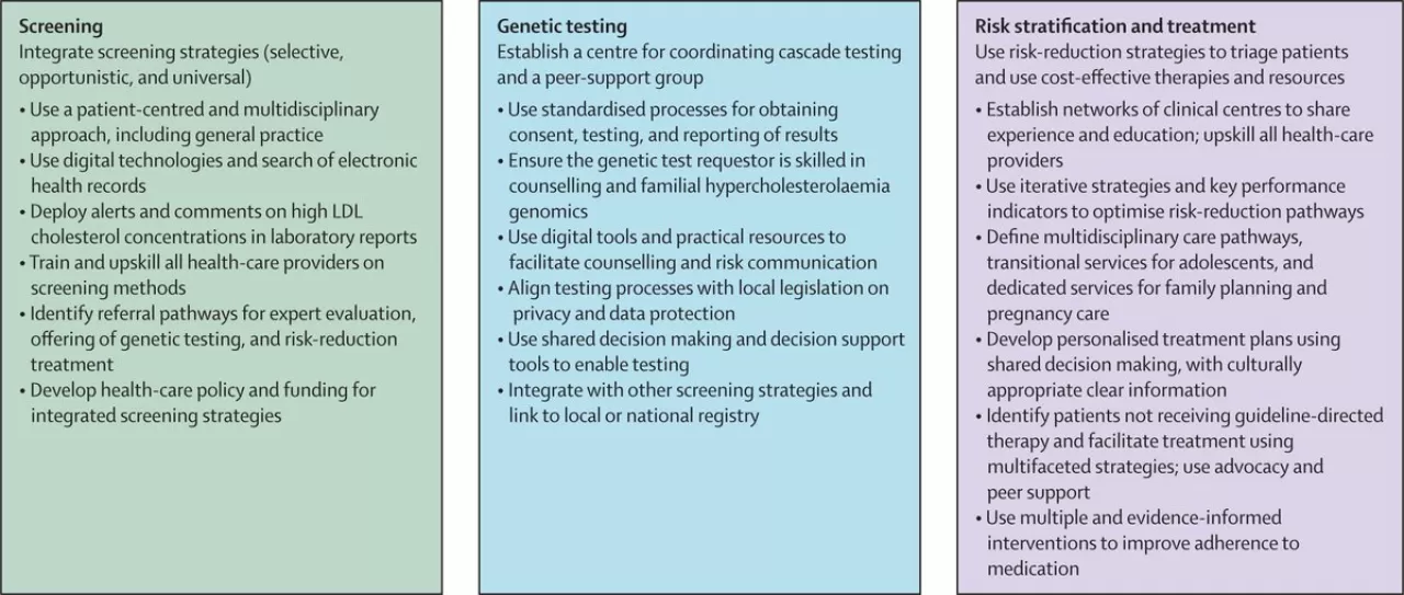 Ailesel Hiperkolesterolemi: Erken Yaşta Yüksek Kolesterol ile Seyreden Genetik Hastalık